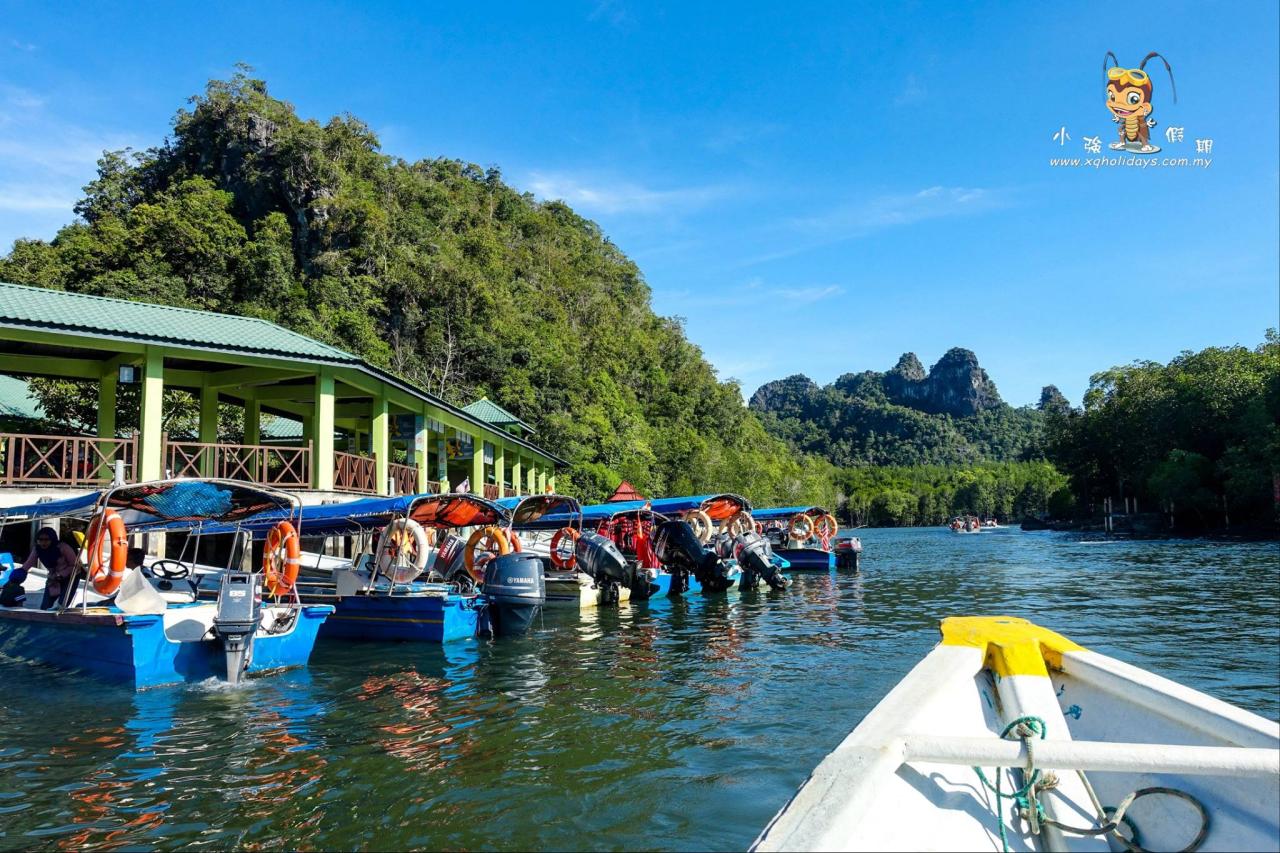 Jelajahi Keindahan Mangrove Langkawi: Tur Alam yang Tak Terlupakan